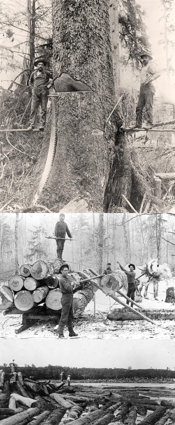 Wisconsin Lumberjacks 1800’s